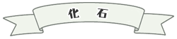 化石