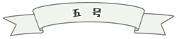 五号