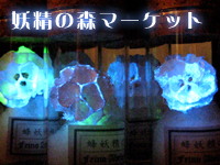 妖精の森マーケットのお知らせ