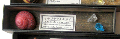 �~�j�`���A�L�W�{�^�C�`�S�i�c�����K�C