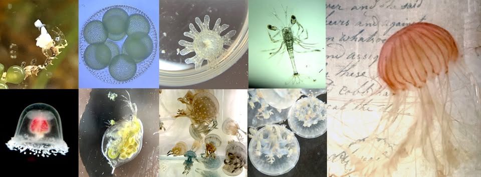 FaceBookグループ／きらら舎