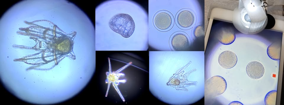 FaceBookグループ／きらら舎