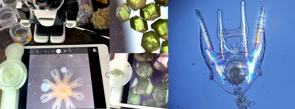 FaceBookグループ／きらら舎